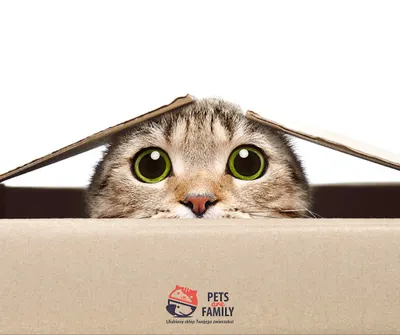 Pets Are Family - sklep zoologiczny on-line, Nowy Sącz